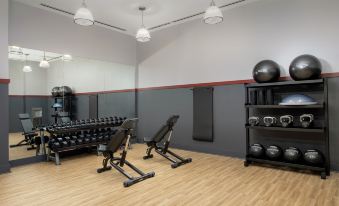 a well - equipped gym with various exercise equipment , including weight machines and cardio machines , in a spacious room with wooden flooring at Canopy by Hilton Ithaca Downtown