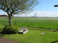 Rosenboom