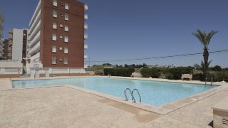 tourist-rental-paco-apartment-community-pool-rocio-mar-torrevieja