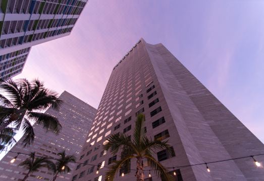 인터컨티넨탈 마이애미