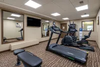 Comfort Inn & Suites Northern Kentucky - Gym