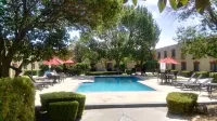 Casa Grande Chihuahua - Rooftop Pools