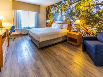 The Hanford Hotel Hotels near Lincoln Plaza