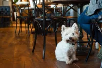 The Seaburn Inn - the Inn Collection Group - breakfast