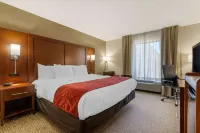 Comfort Inn & Suites Macon West