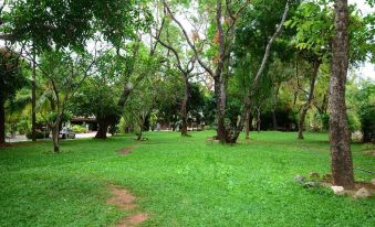 Village Polonnaruwa