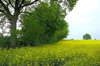 Hotel Gammelby Hotels in Arnis