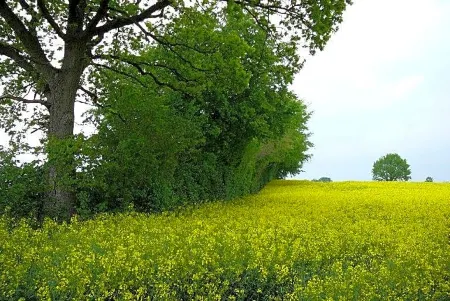 Hotel Gammelby Отели в г. Грёдерсби