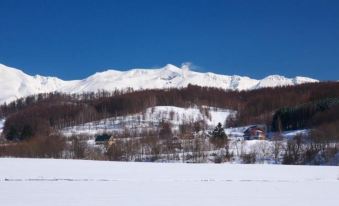 Auberge de Tefutefu