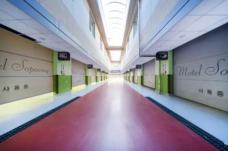 Goheung Nokdong Excursion Unintel