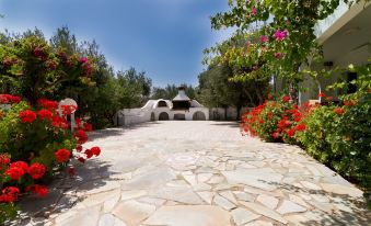 Athena Villas Olive Grove & Estate