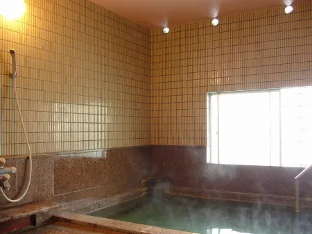 Hotel Senke