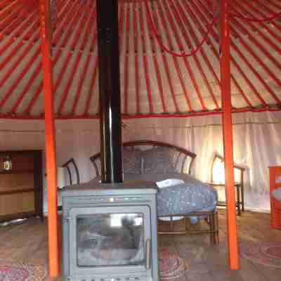 Yourte Mongole Rooms