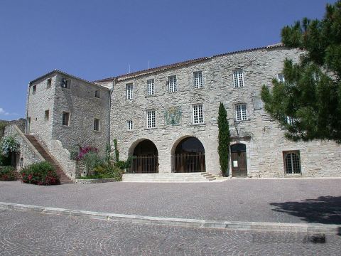 La Cigale Sous l'Olivier