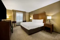 Best Western Morgan City Inn - Wifi