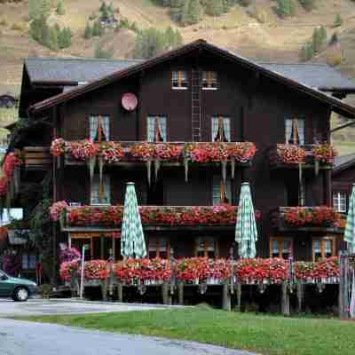 Swiss Lodge Joopi Hotel Exterior