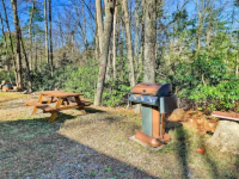 Cozy Tannersville Gem - Ski, Hike, Explore! Hotels in Pocono