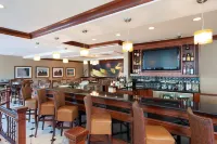Hilton Garden Inn Indianapolis South/Greenwood - bar