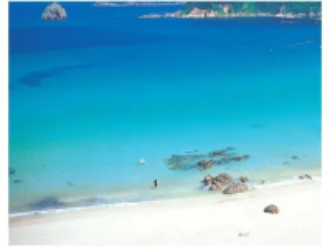 Shimoda Jyuraku Hotel