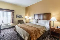 Comfort Inn & Suites North Aurora - Naperville Hotels in Oswego