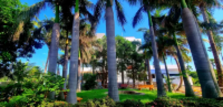 Antrika Resorts Hotels near Old Coutralam Falls