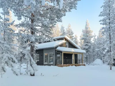 Pallaskieppi Hotels near Olos Ski Resort