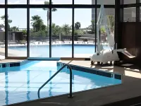 Holiday Inn CORPUS CHRISTI DOWNTOWN MARINA by IHG - Pool