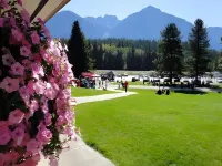 Chalet Continental Motel Hotels in Valemount