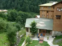 Ayder Yesil Vadi Otel Hotels near Elevit Yaylası