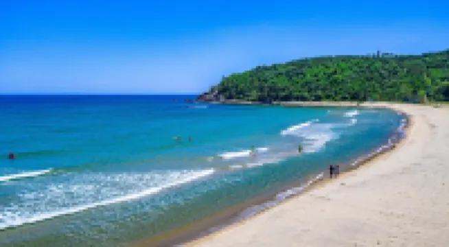 양양 하조대에코하임 사계절온수풀 앤 스파펜션