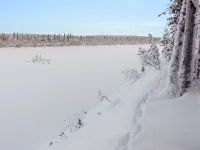 Ylikyrön mökki Hotels in Tunturi-Lappi