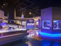 Toyoko Inn Fujisan Numazu Eki Kita Guchi No 1 Hotels in Numazu