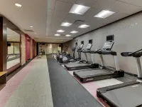 Fairfield Inn & Suites Birmingham Downtown Отели рядом с достопримечательностью «Научный Центр МакУэйн»
