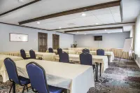 블랙 스완 인 언 어센드 컬렉션 멤버