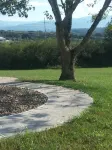 1 BEDROOM FULL KITCHEN $97 with MOUNTAIN VIEWS, PET FRIENDLY on 4 ACRES!
