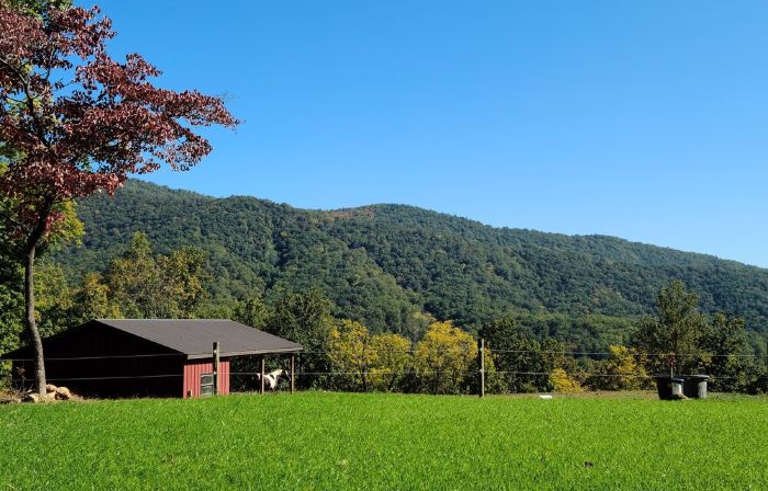 Scenic Mountain Getaway with a Firepit and Amazing Views of Mountains and Horses