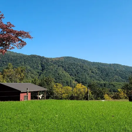 Scenic Mountain Getaway with a Firepit and Amazing Views of Mountains and Horses