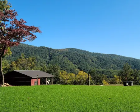 Scenic Mountain Getaway with a Firepit and Amazing Views of Mountains and Horses Hotels in Greene County