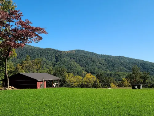 Scenic Mountain Getaway with a Firepit and Amazing Views of Mountains and Horses