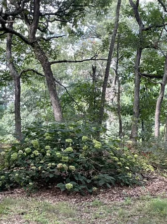 Arbor Acres Cottage!  Bright, cheery, cozy and ready for you right by Wis Dells! Отели в г. Линдон