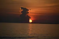 The Flowers House - Downtown Historic Home in the Heart of Mount Dora