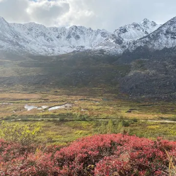 Rustic and cozy cabin with all new amenities near beautiful Hatcher’s Pass