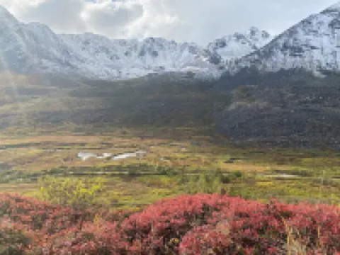 Rustic and cozy cabin with all new amenities near beautiful Hatcher’s Pass