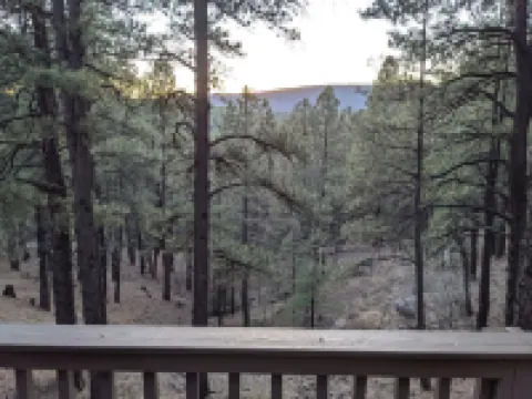 5Br Flagstaff Cabin • Deck • Games • 1 Acre• Hiking 卡馳納山莊酒店