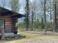Modern Rustic Cabin with Denali View Hotels in Denali