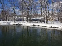 Lakeside Home, New Pool, Carriage House, level & private, 6 BR, 120'  frontage! - Wifi