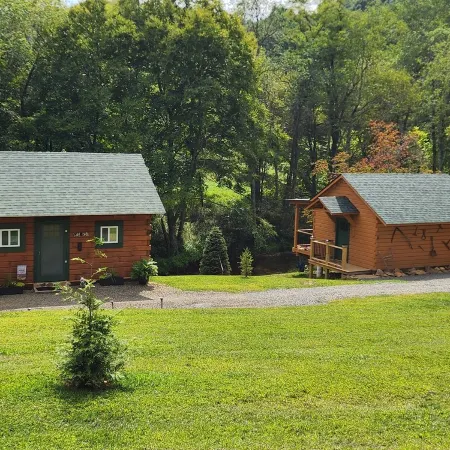 "Moonshine Mansion" Cozy tiny cabin in peaceful Fancy Gap.