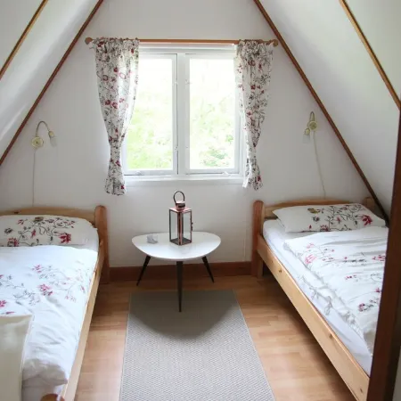 Pitched roof holiday home in the nature park on the Twistesee in an absolute forest location