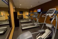 Hampton Inn & Suites Sevierville @ Stadium Drive - Træningscentre