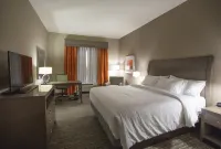 Hilton Garden Inn Bolingbrook فنادق في Du Page Township